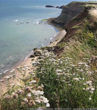 Coastal scenery, Whitby Clifftop view from the Cleveland Way footpath.