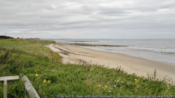 View north from Cresswell