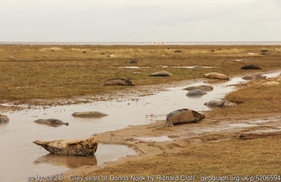 Walk the England Coast Path - Mablethorpe to Humber Bridge