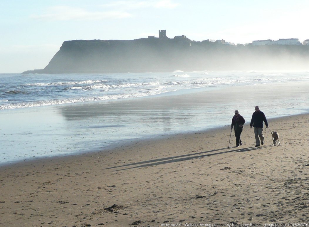 Walking the dog on the beach, North Bay, Scarborough The ruined castle keep is silhouetted on the headland