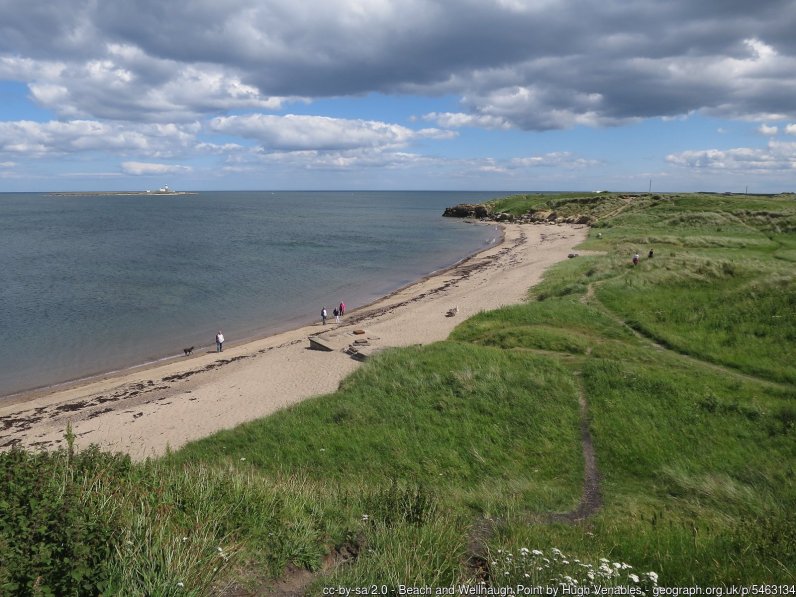 Beach and Wellhaugh Point With Coquet Island offshore, with boat trips around it running from Amble Harbour (no landing as too many puffin burrows and other birds' nests).