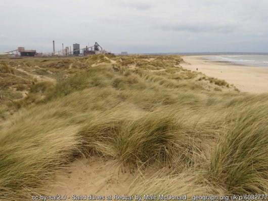 Sand dunes at Redcar A view along sand dunes towards Redcar’s steelworks.